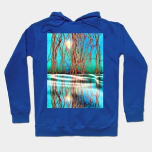 Nature Reflection Hoodie